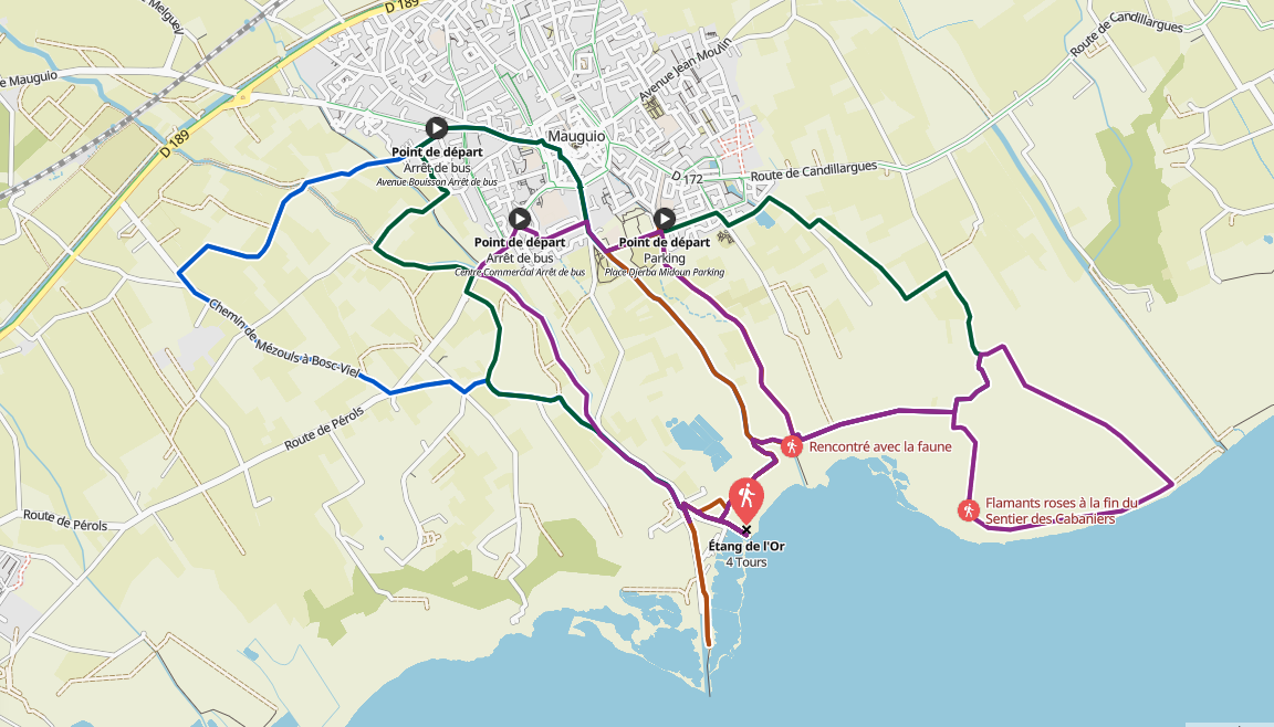 Itineraires étang de l'Or