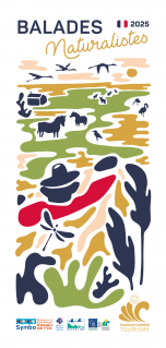 BALADES NATURALISTES 2025