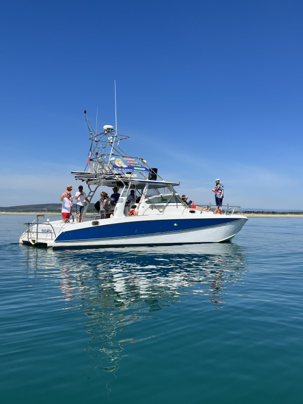 Balades en mer, croisi&egrave;res