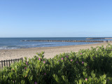 LOI-PLAGE AVRANCHE_2-CARNON PLAGE