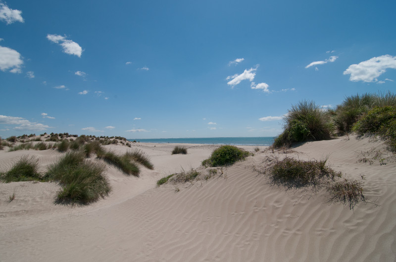 LOI-PLAGE GRAND TRAVERS-CARNON PLAGE