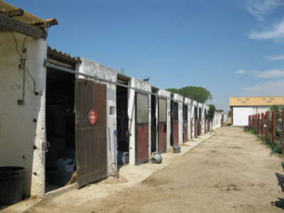 Pole Equestre de Lor