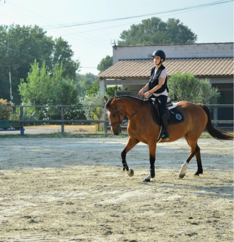 WhatsApp Image 2025-09-03 à 21.21.07_d00cd749 - © Dressage WhatsApp Image 2025-09-03 à 21.21.07_d00cd749