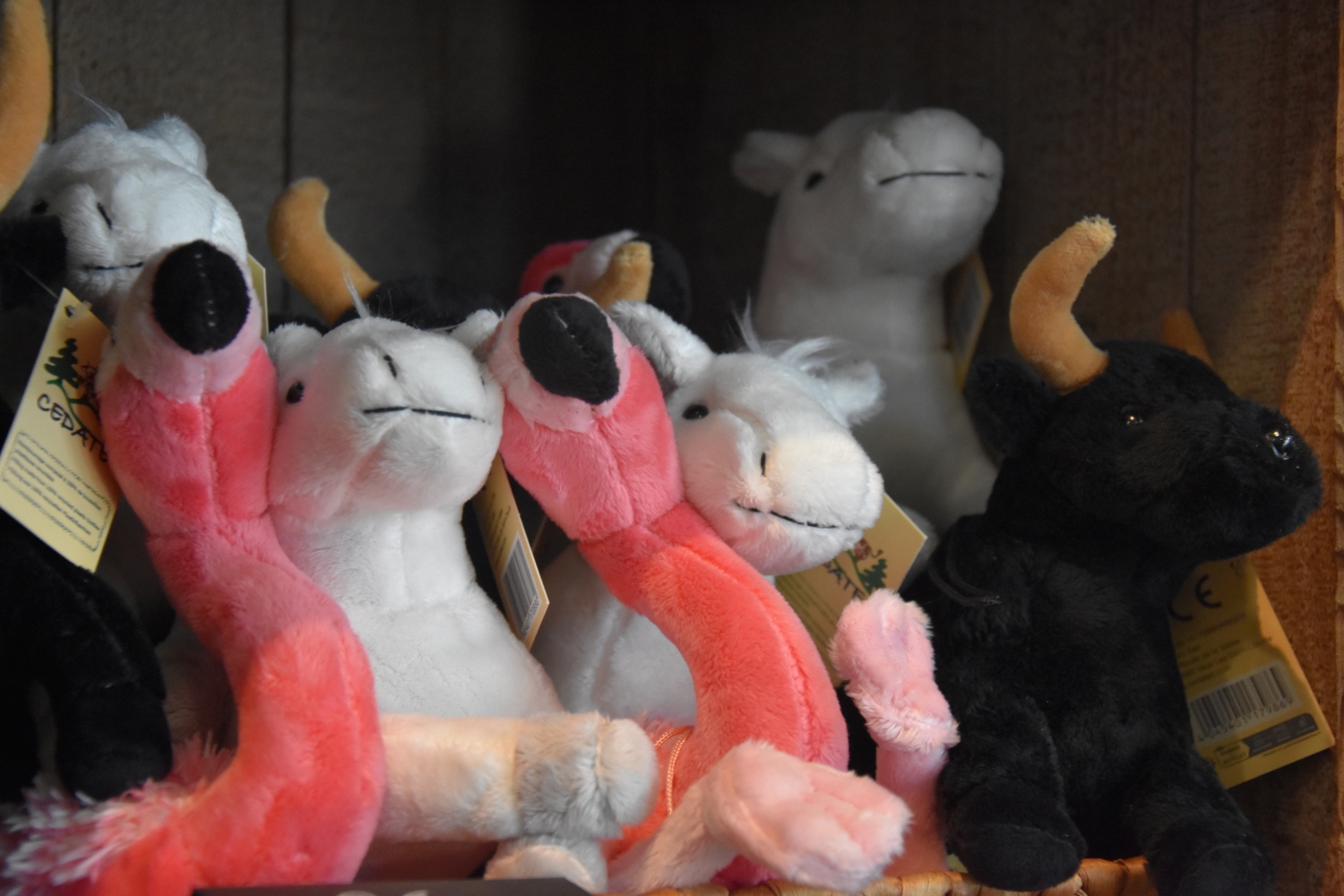 boutique-mauguio-carnon-4-361474 boutique-mauguio-carnon-4-361474