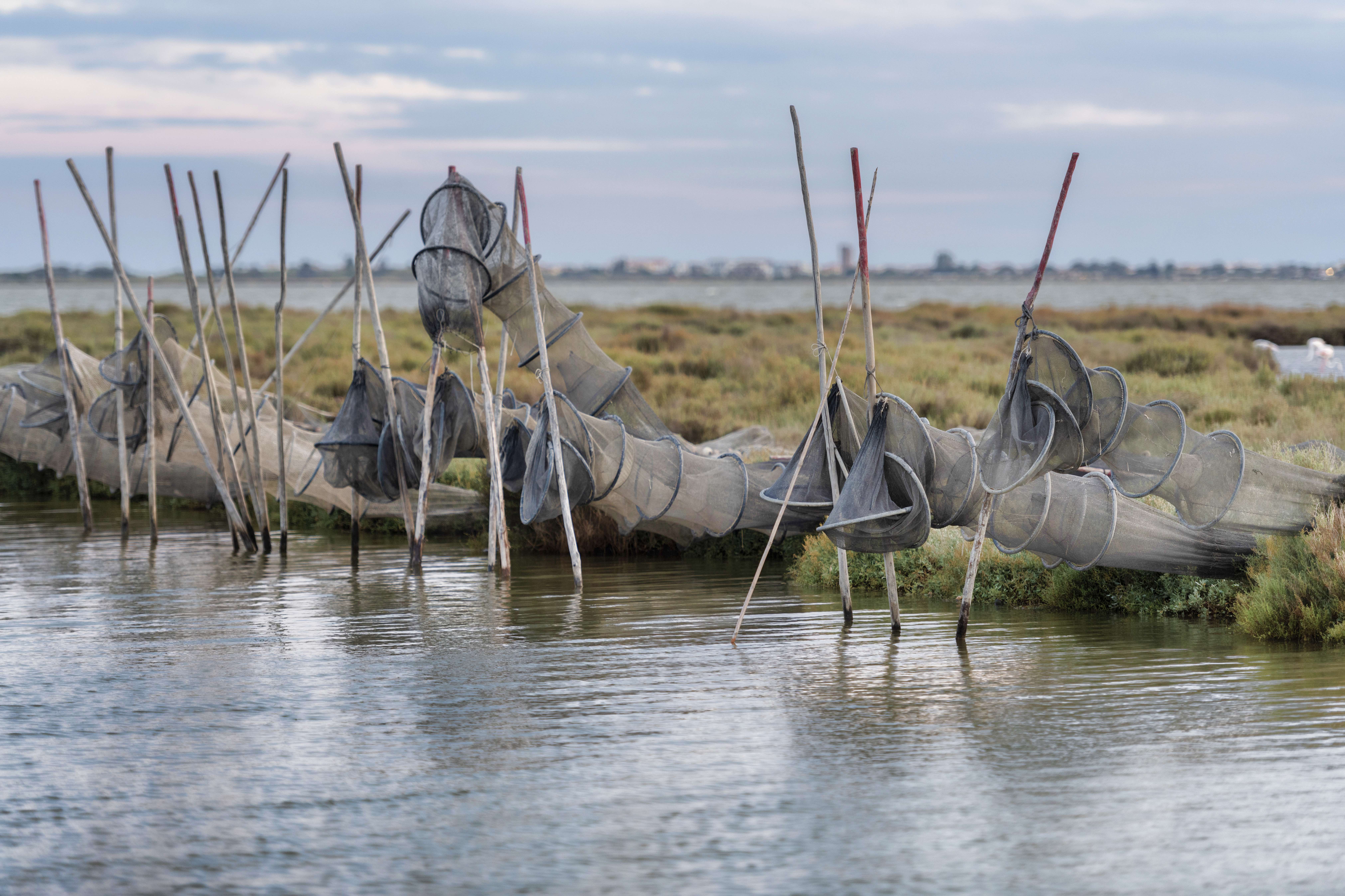 Découvrez le sentier du Cabanier à l'étang de l'Or