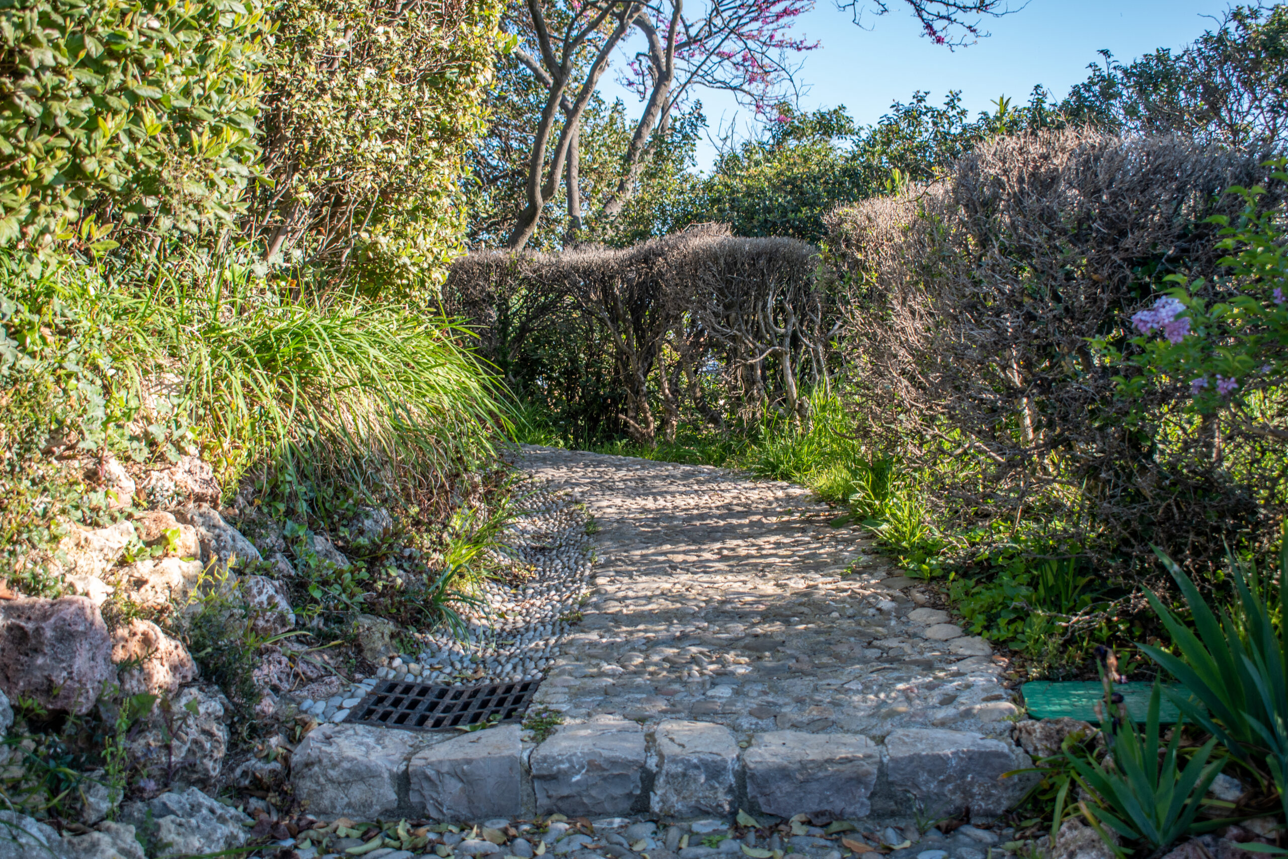 joaolourencomartins-jardindelamotte-29-scaled-361398