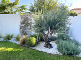 MANDARINE JARDIN