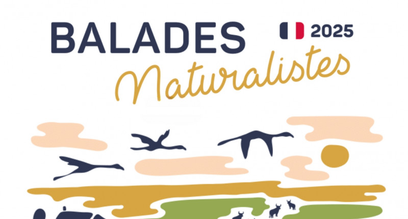 BALADES NATURALISTES 2025