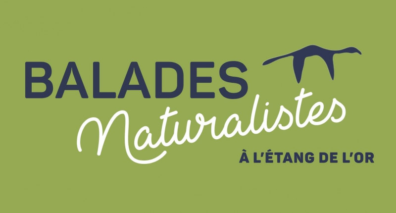 BALADES NATURALISTES 2026 - © OT MAUGUIO CARNON BALADES NATURALISTES 2026
