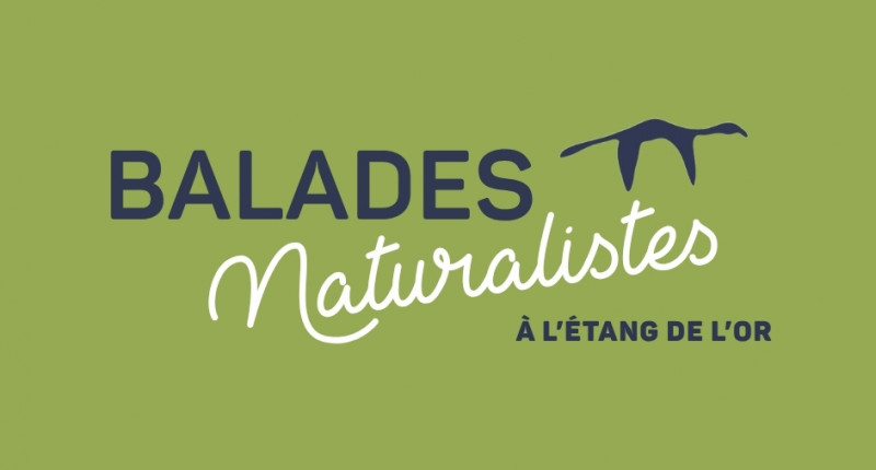 BALADES NATURALISTES 2026