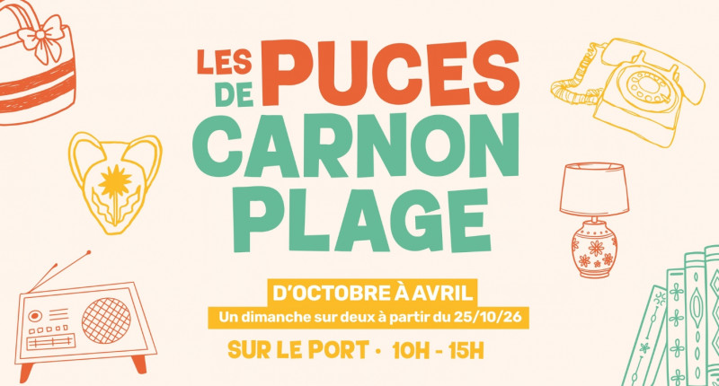 LES PUCES DE CARNON PLAGE