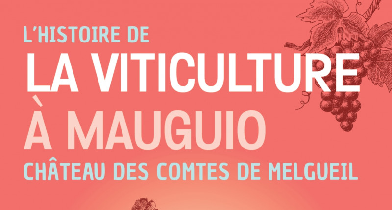 Exposition « L’Histoire de la Viticulture à Mauguio »